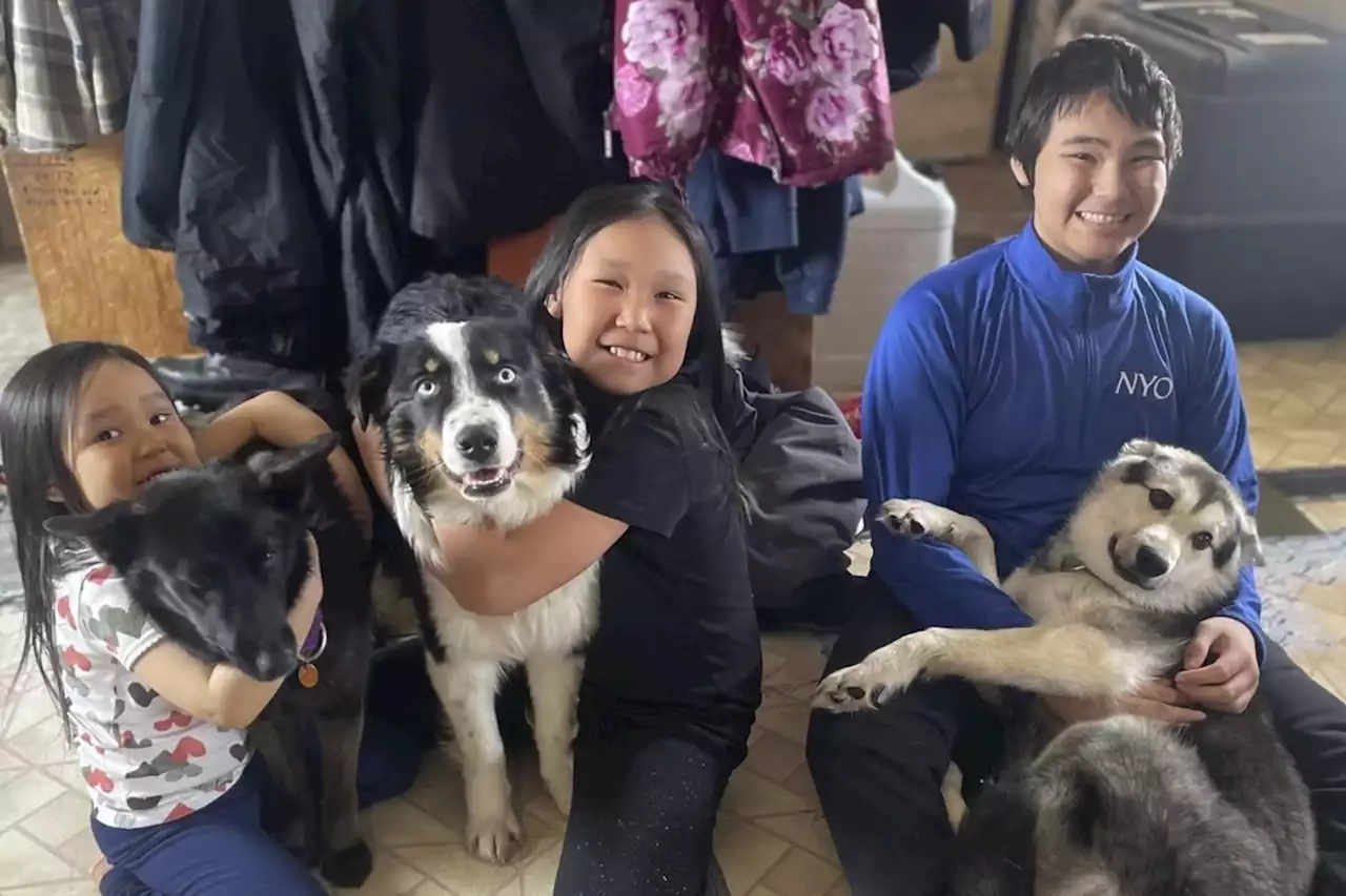 BEYOND LOCAL: Dog arrives home after 150 mile Alaskan sea-ice odyssey