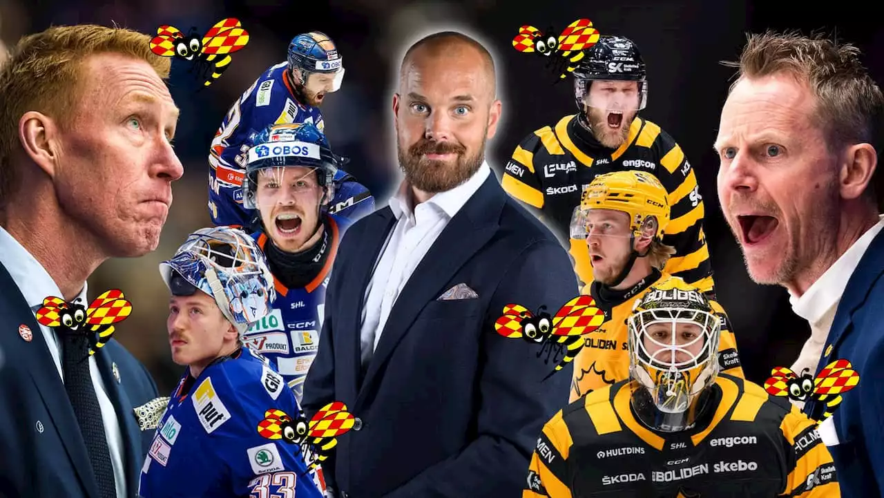 Sanny Lindström: Betyg och analys av alla spelare i SHL-finalen