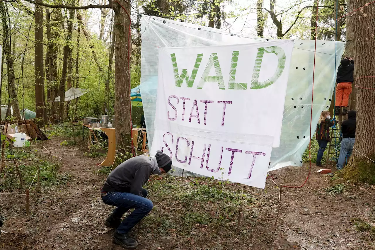 Aktion gegen Deponiepläne – Dem Camp im Wald von Rümlang droht die Räumung