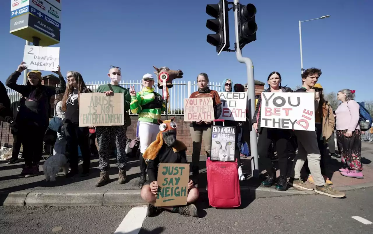 Woman arrested at Aintree as Animal Rising activists attempt to disrupt the Grand National