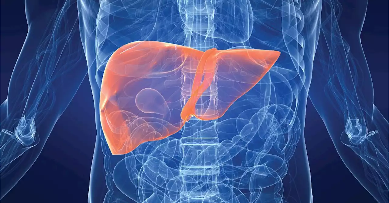 Can ChatGPT Help Adults Manage Their Liver Disease?