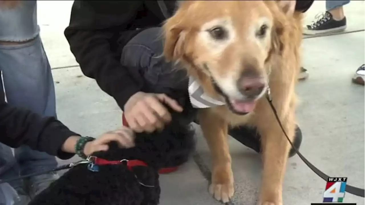 Pet Partners: Program helps Paxon students de-stress ahead of rigorous testing schedule