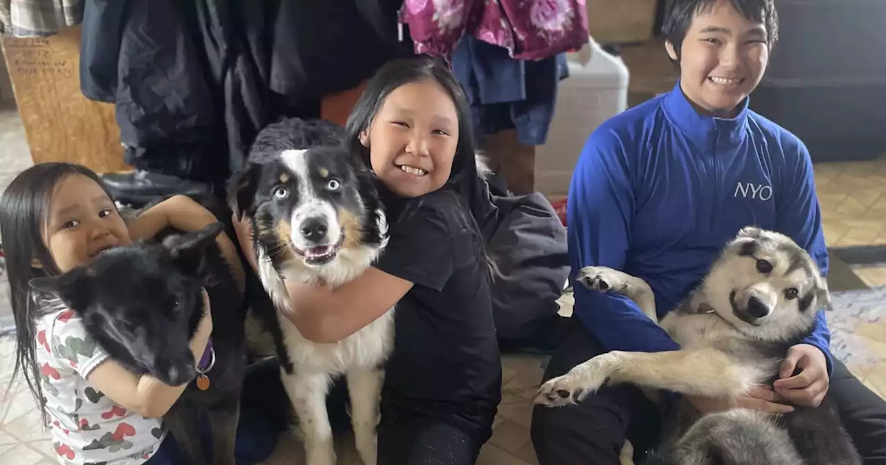 Pet arrives home, dog-tired, after Alaskan sea-ice odyssey