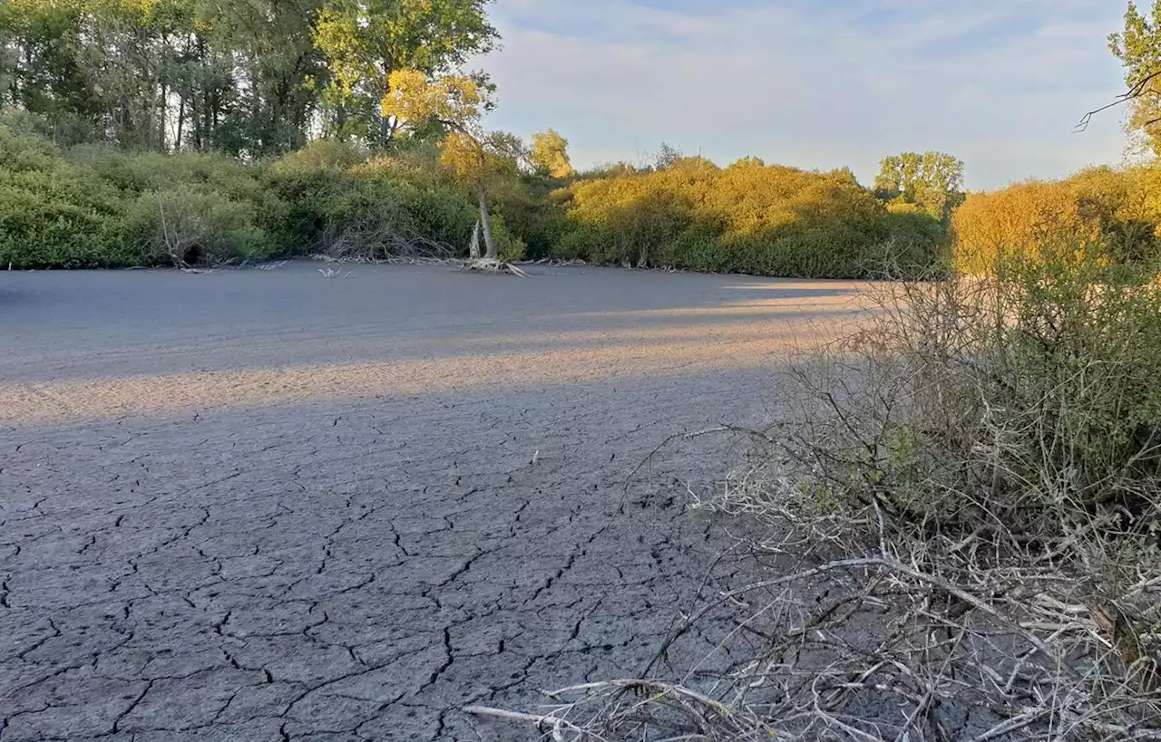 Le Nord placé en « alerte sécheresse »