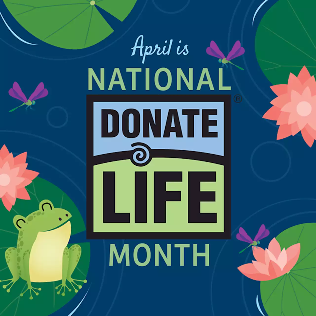 MVD and Donate Life Arizona celebrate National Donate Life month | ADOT