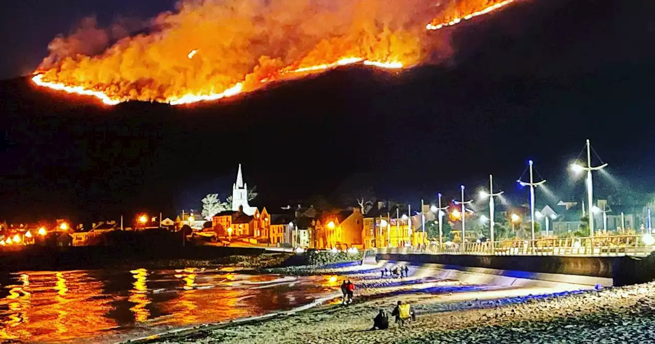 New plan to reduce NI wildfires - your views wanted