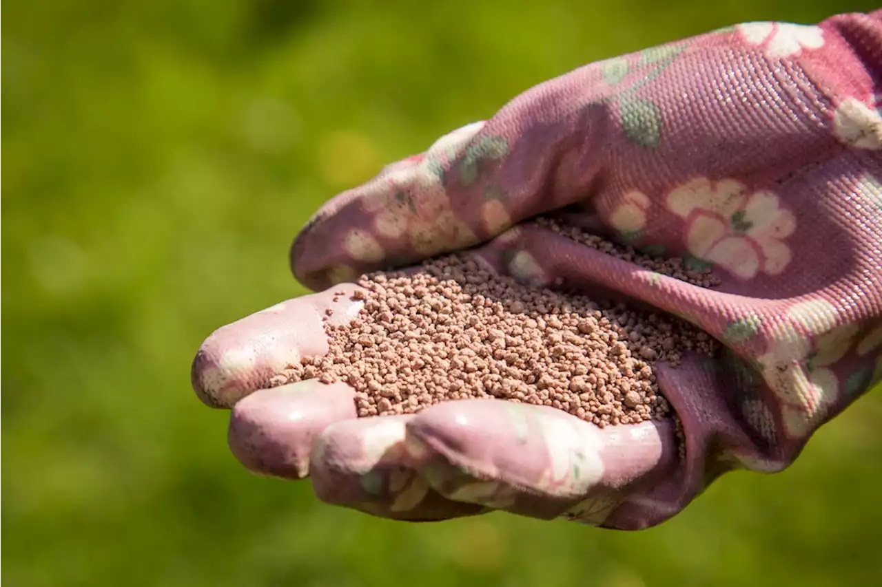 Frühling in Ihrem Garten: Gut Dung will Weile haben