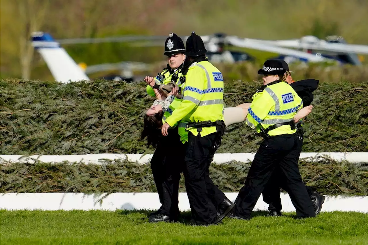 Grand National: Zwei Pferde sterben bei Rennen, Polizei nimmt 118 Tierschützer fest