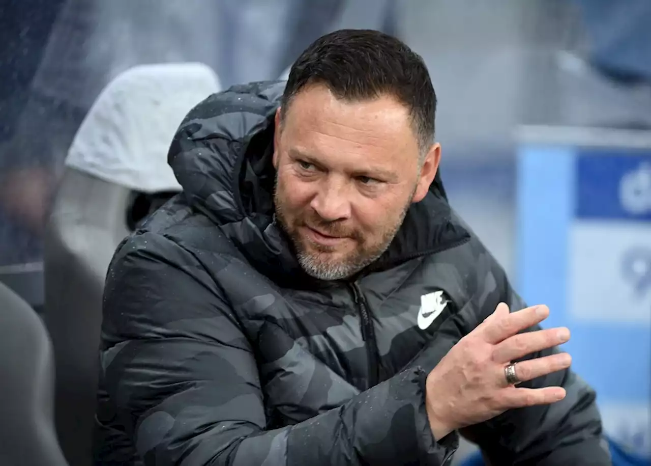 Nach Absturz ans Tabellenende: Dardai soll Hertha BSC retten