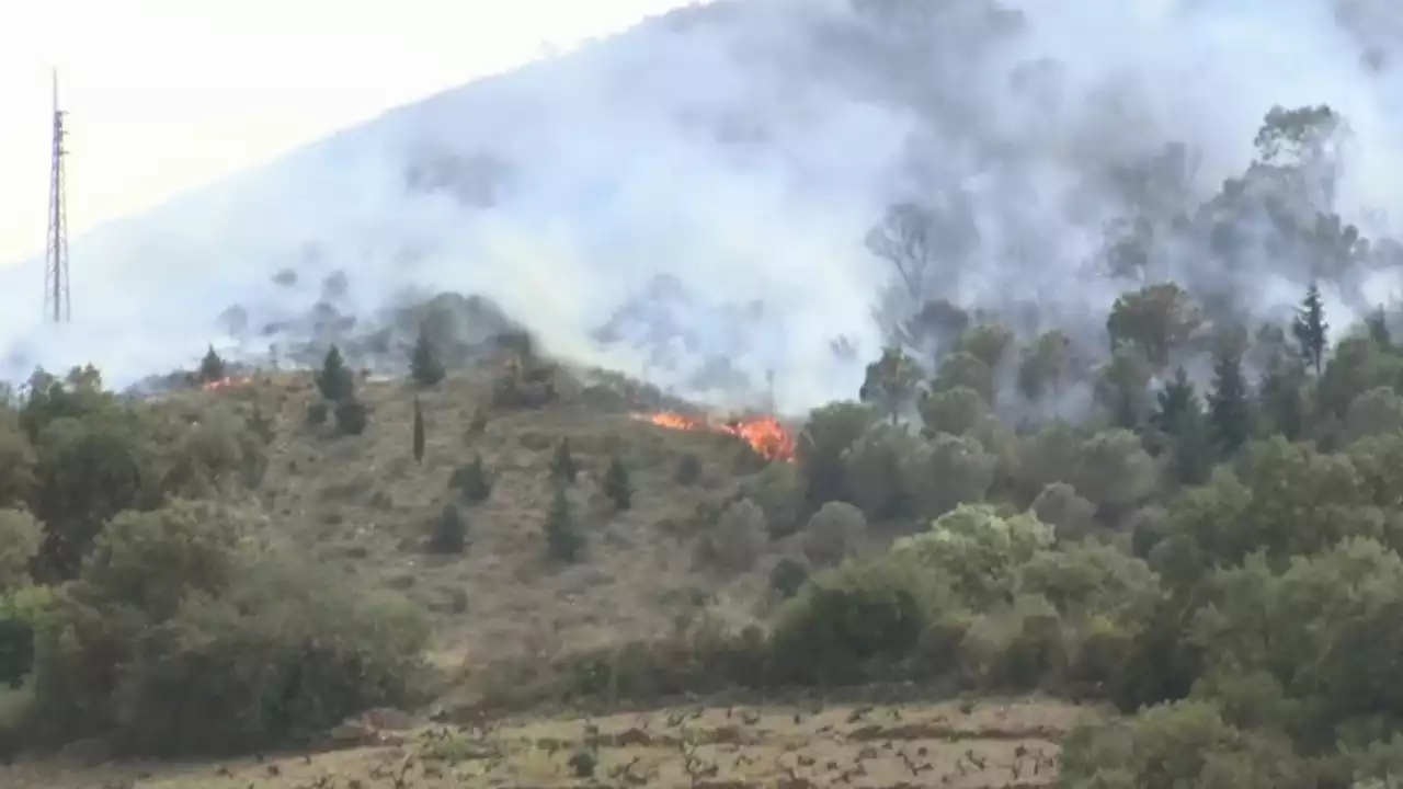 Incendie dans les Pyrénées-Orientales: la situation se stabilise 'dans le bon sens', 930 ha parcourus