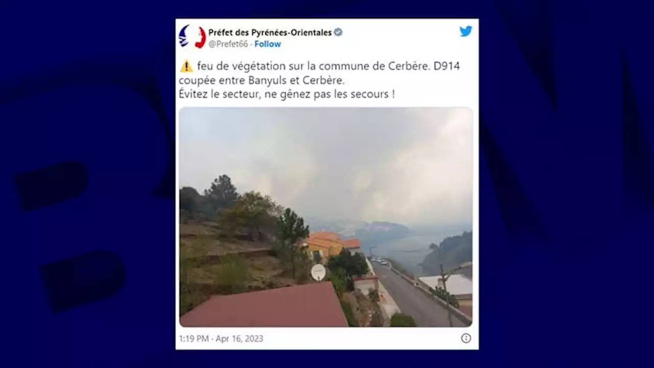 Pyrénées-Orientales: un incendie ravage au moins 550 hectares, des habitations évacuées