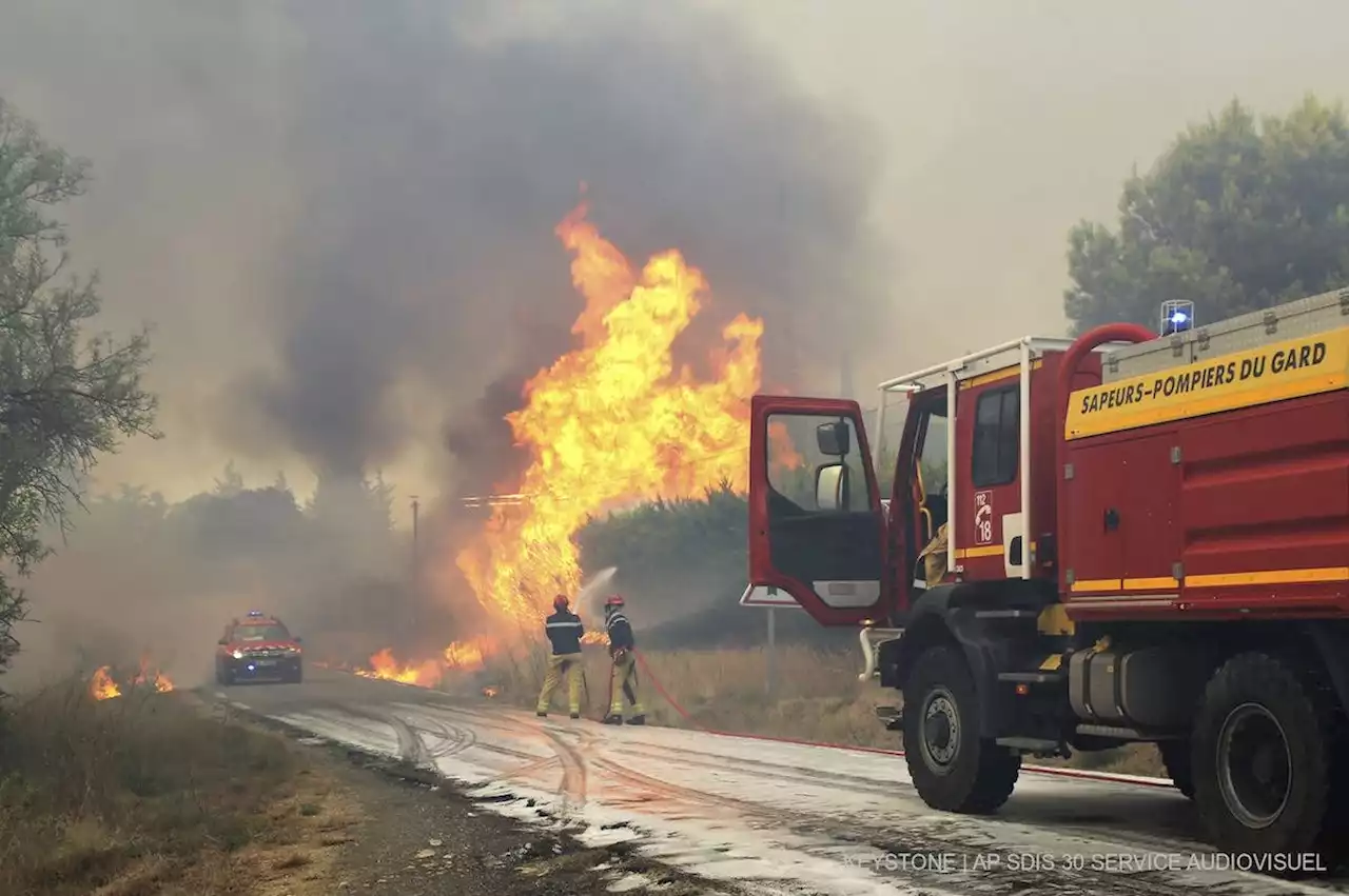 Waldbrand ausgebrochen – Wind behindert Löscharbeiten