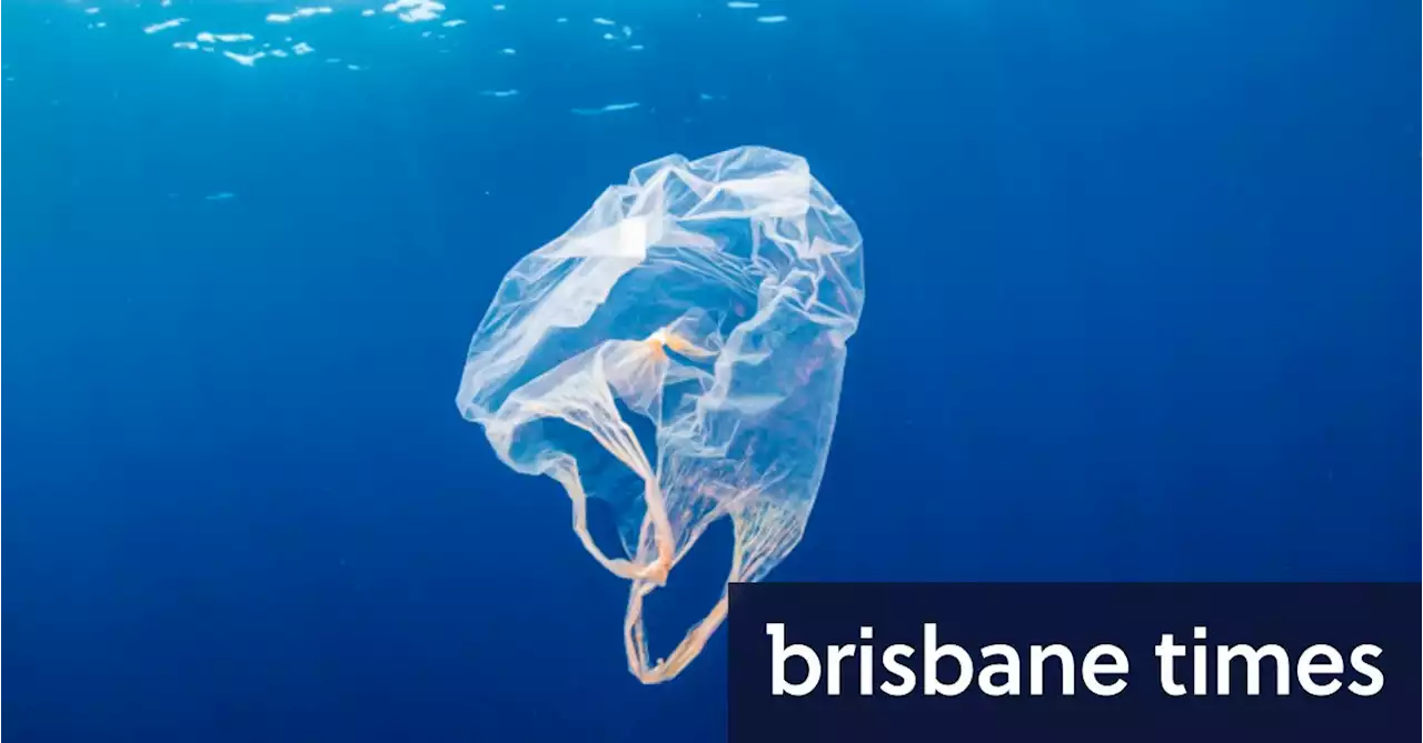 Consumer watchdog urged to step in on so-called ocean plastic