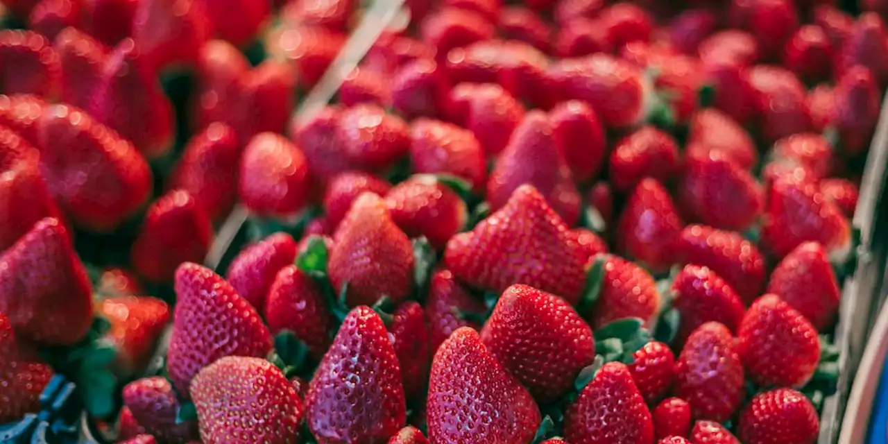 Warum Sie im April noch keine Erdbeeren kaufen sollten