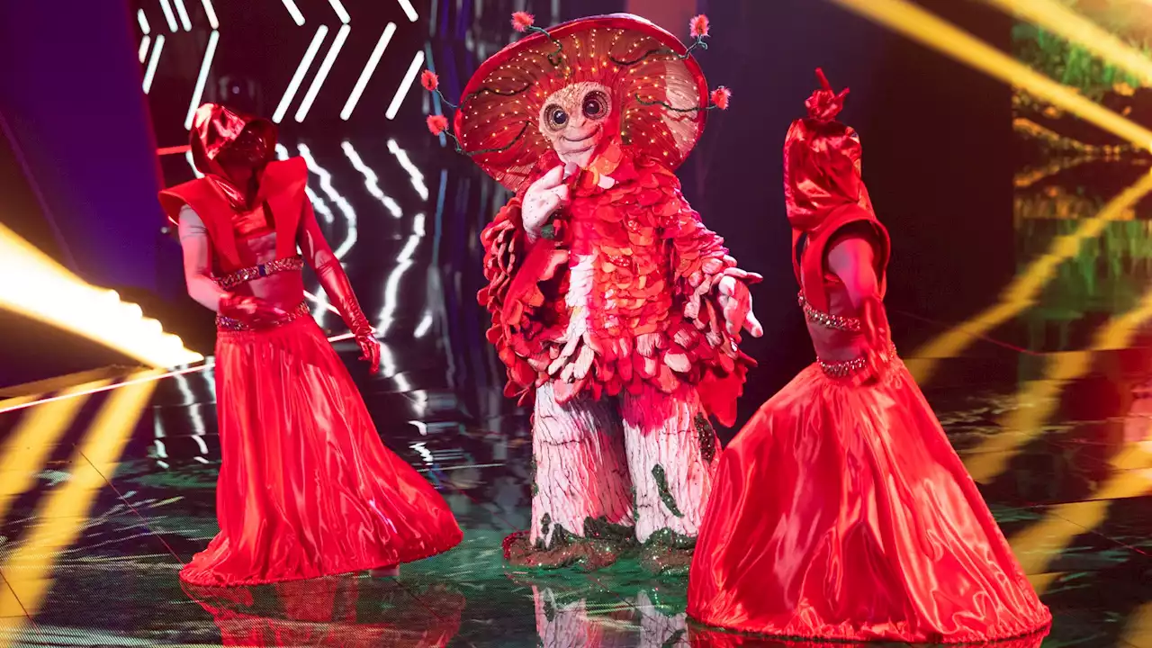 Schlagerstar bei „The Masked Singer“ enttarnt