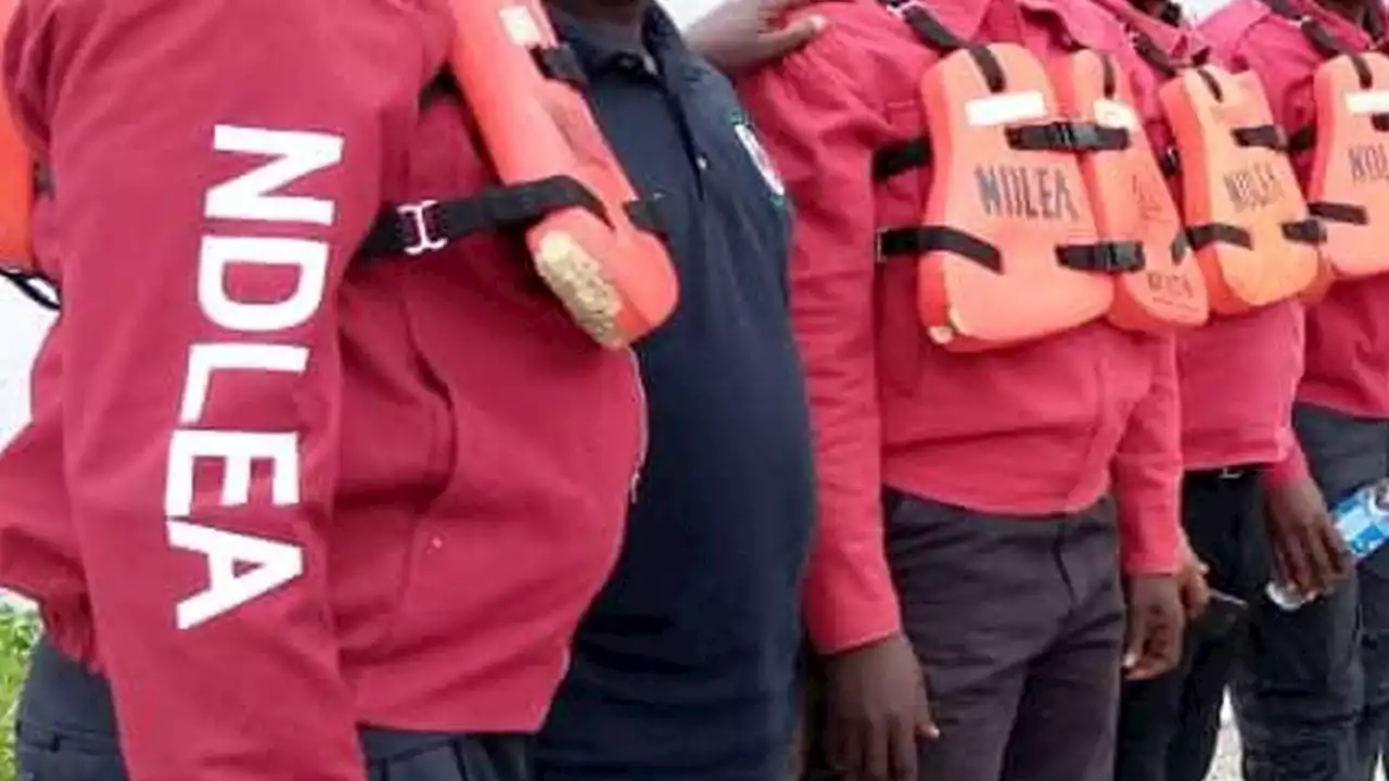 NDLEA intercepts drug consignments in winter jackets, body lotion in Lagos