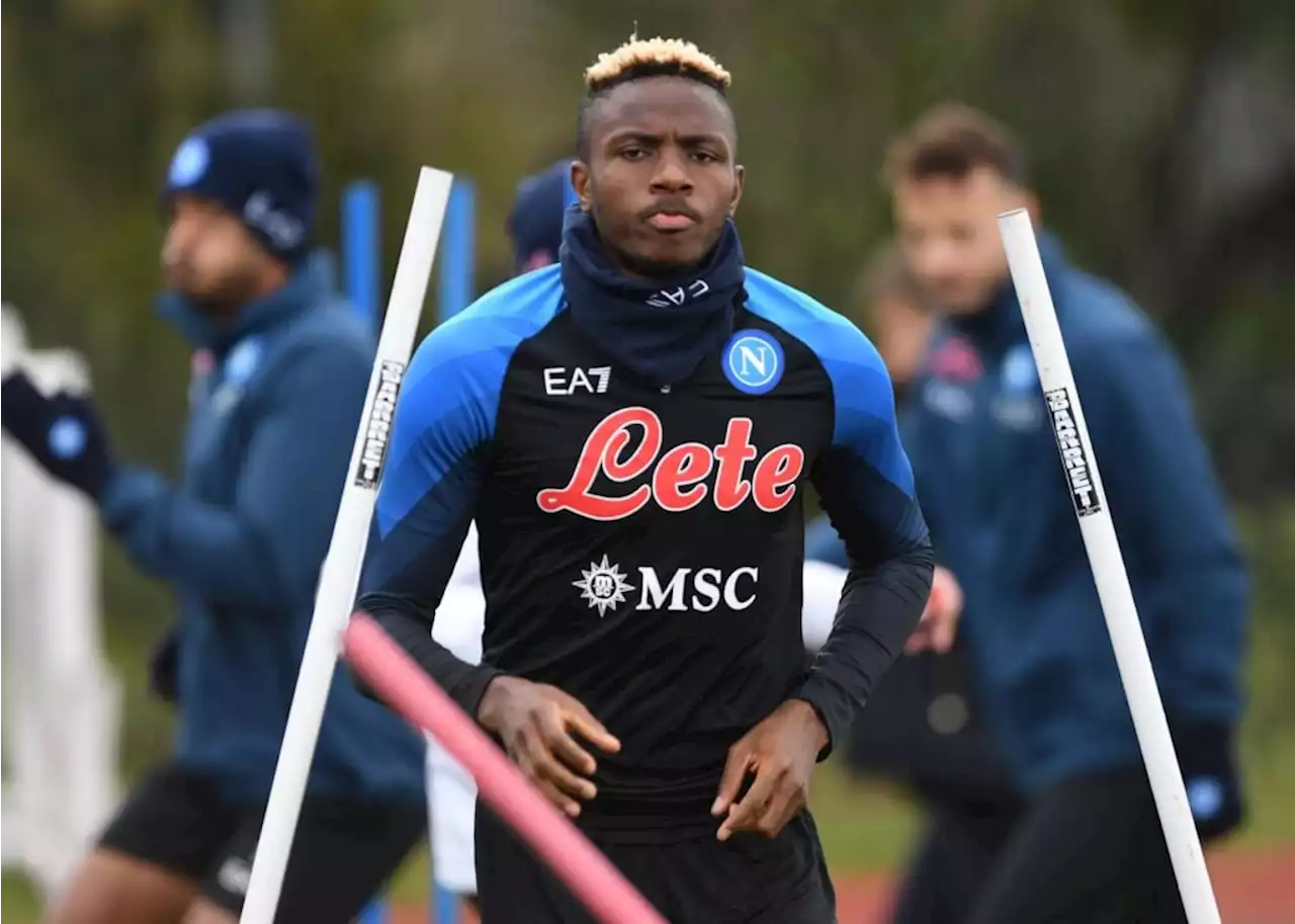 Transfer: Osimhen committed to Napoli despite interest from European top clubs