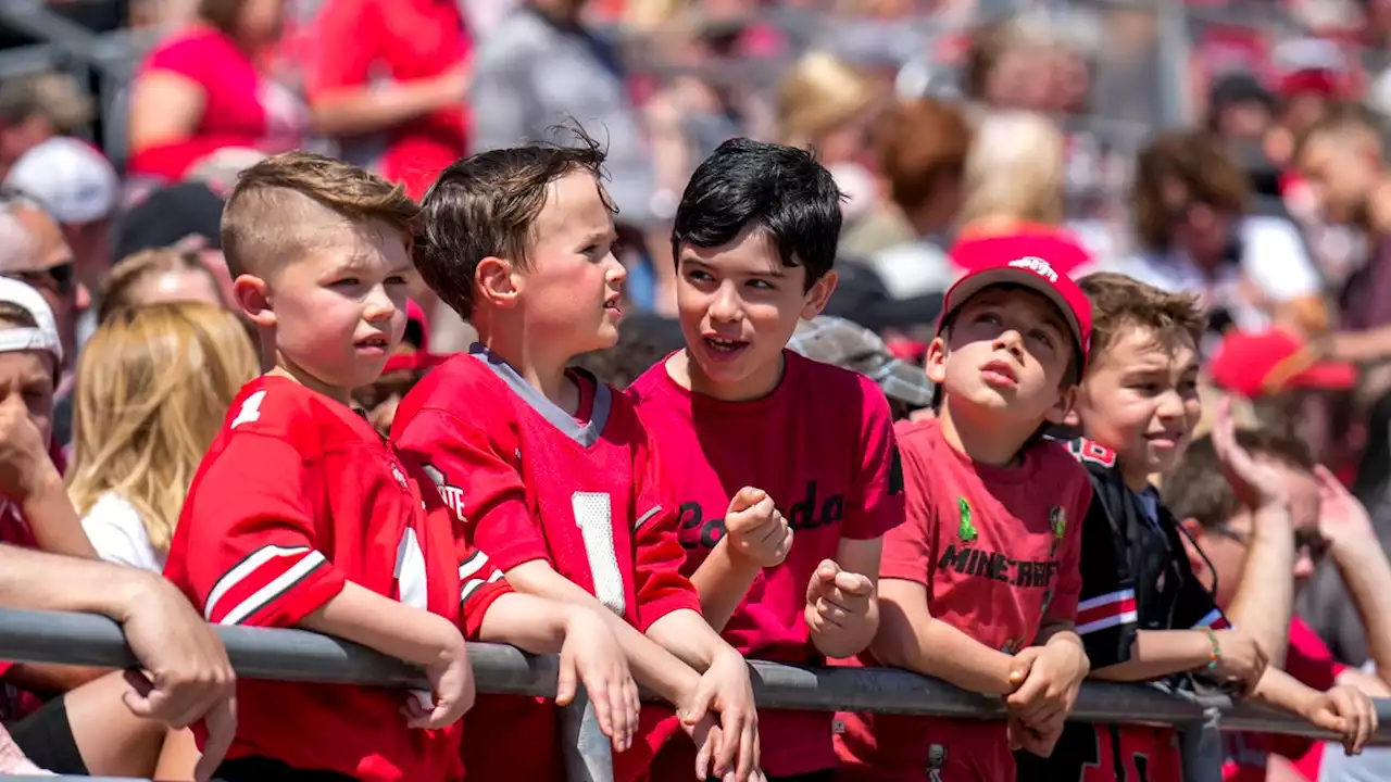 Kidding aside, Ohio Stadium offers magical moment for young Ohio State fans | Rob Oller