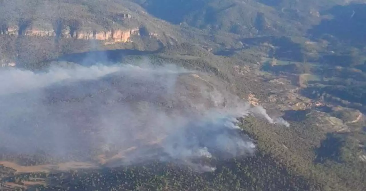 Extinguido el fuego declarado en el Parque Natural del Alto Tajo