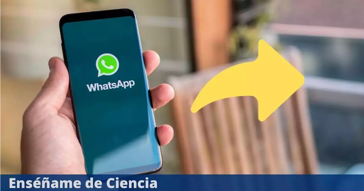 WhatsApp ahora permite reenviar contenido multimedia con descripción: así es como funciona