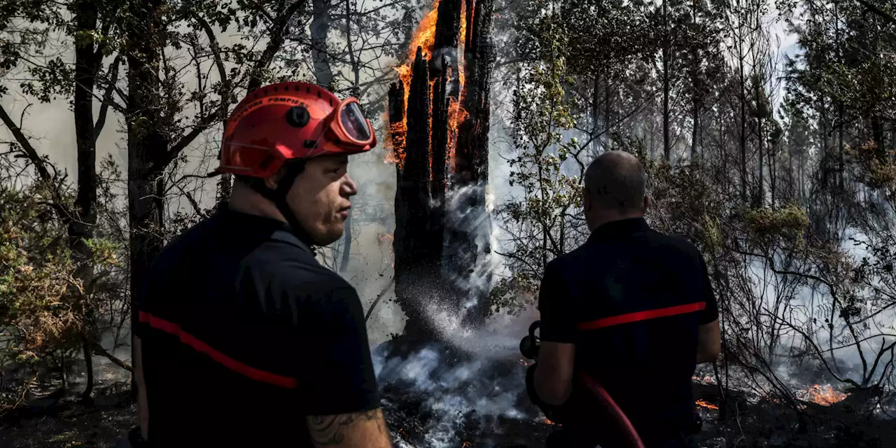 Pyrénées-Orientales : 500 hectares de végétation parcourus par un incendie