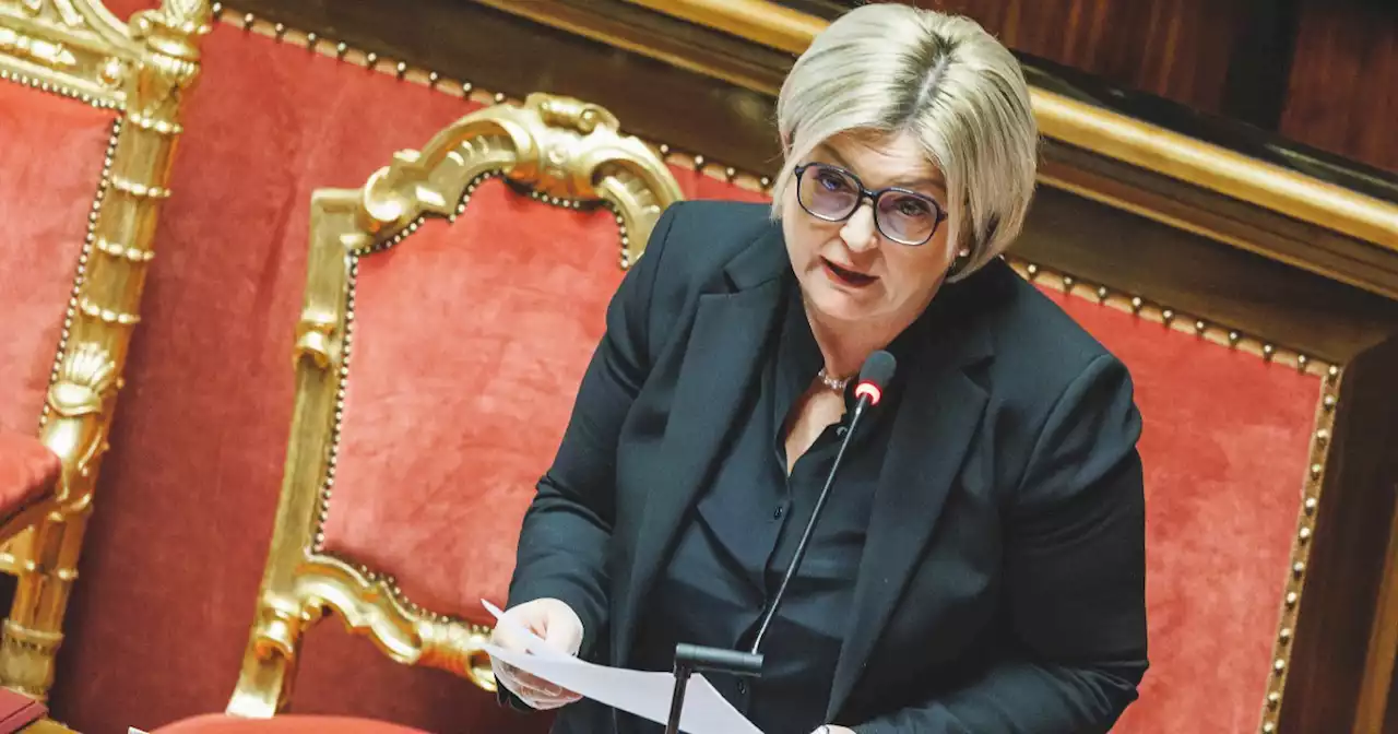 “È troppo soft”: sul dl Meloni commissaria la ministra Calderone - Il Fatto Quotidiano