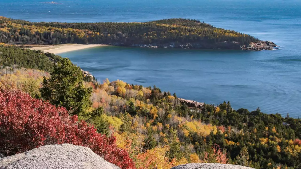 Teenager hiking with friends falls to his death at Acadia National Park