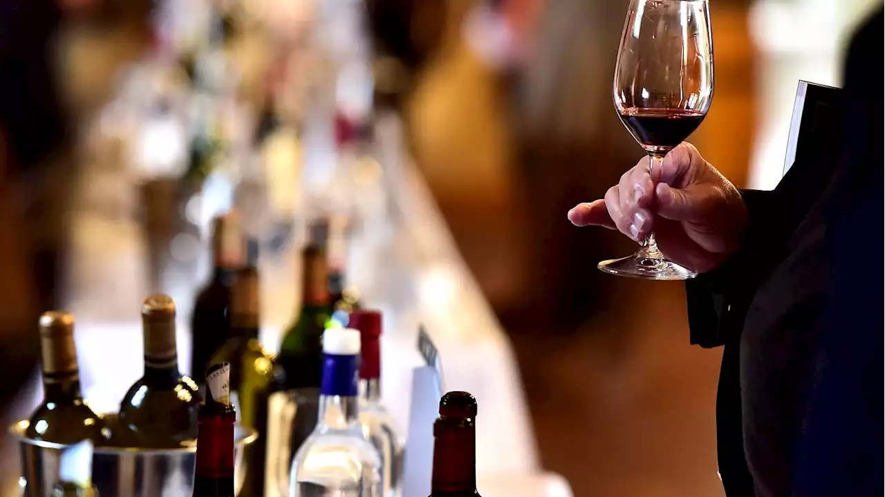 Économie du vin : la filière viticole à l'assaut de la génération Z pour contrer la chute de la consommation