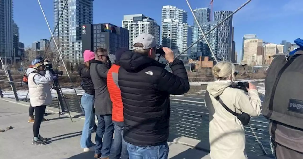 New bird watching program in Calgary’s East Village aims to kill two birds with one stone - Calgary | Globalnews.ca