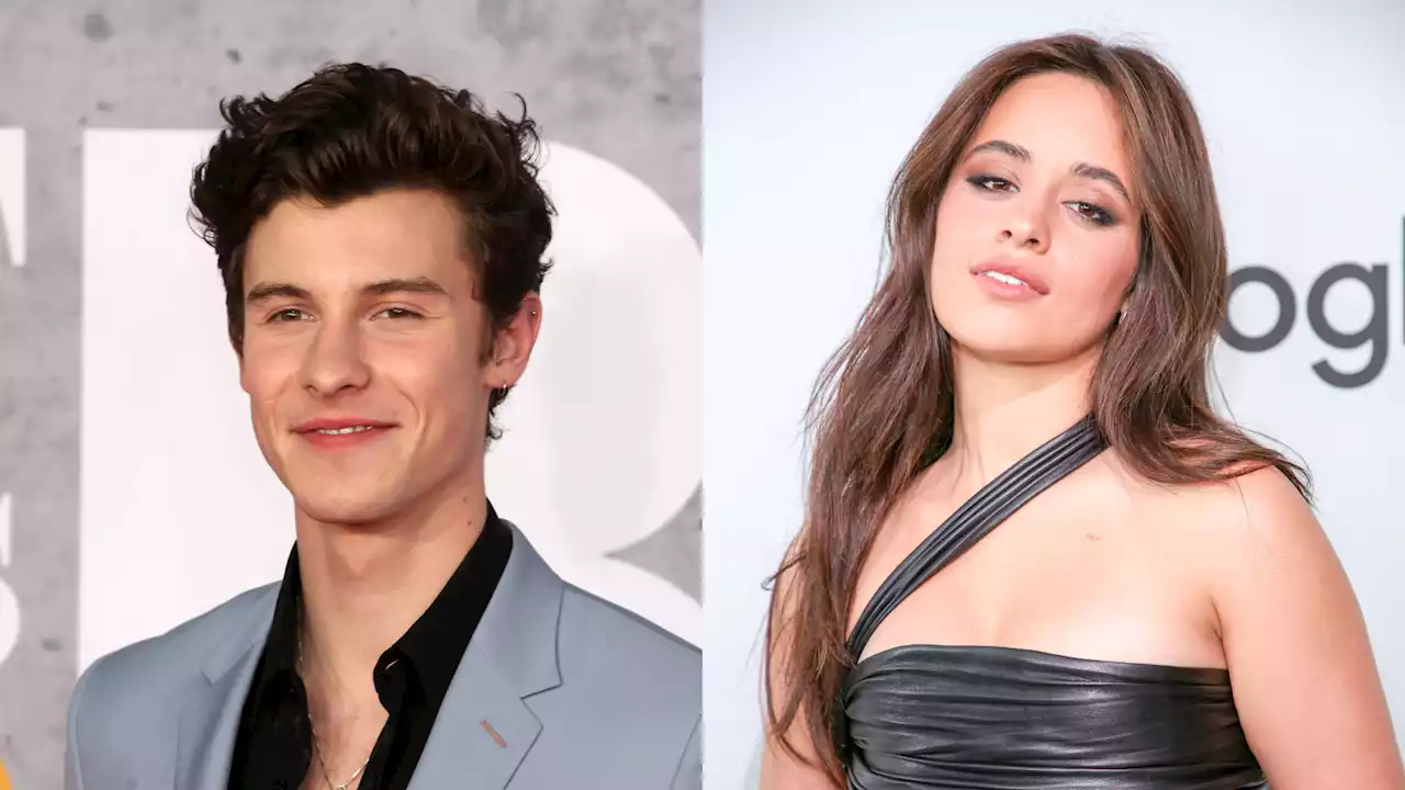 Camila Cabello et Shawn Mendes de nouveau en couple ?