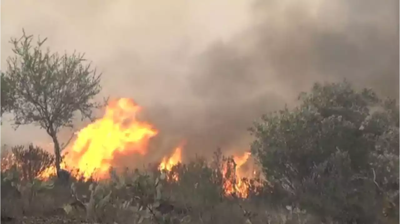 Un incendio forestal originado en Francia amenaza a la localidad gerundense de Portbou