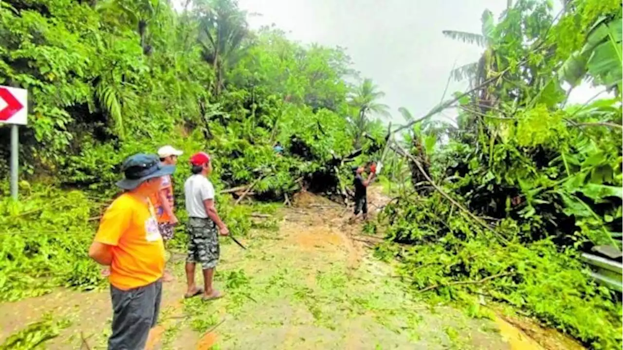 Amang damage to agriculture reaches P50 million