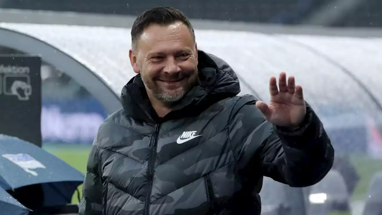 Hertha: Dardai steht vor der Rückkehr