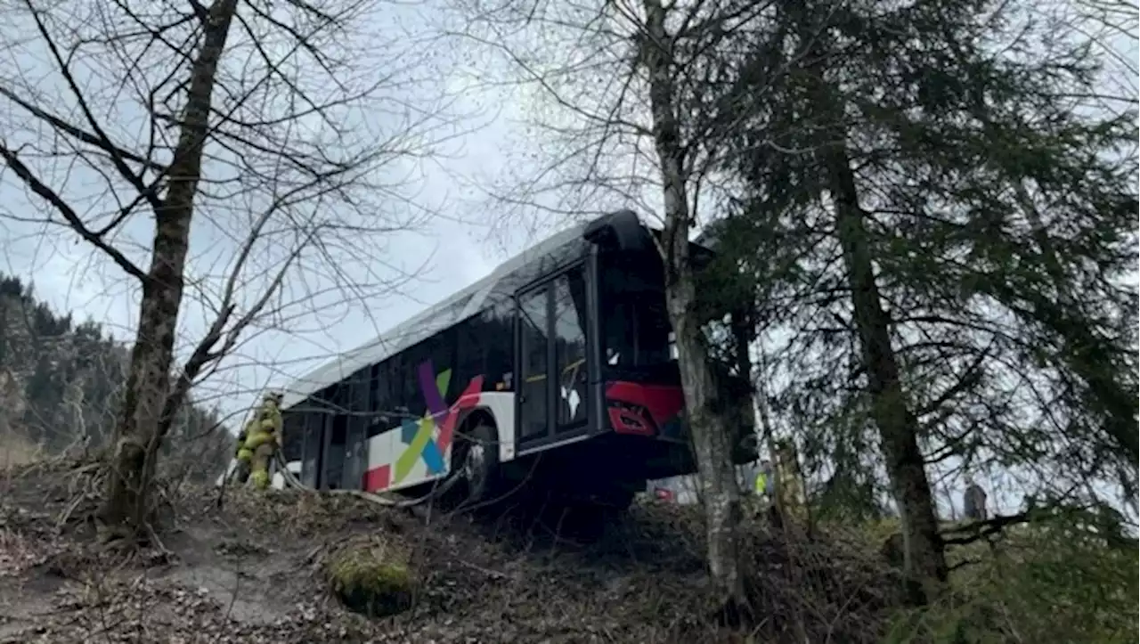 Im letzten Moment! Baum verhinderte Busabsturz