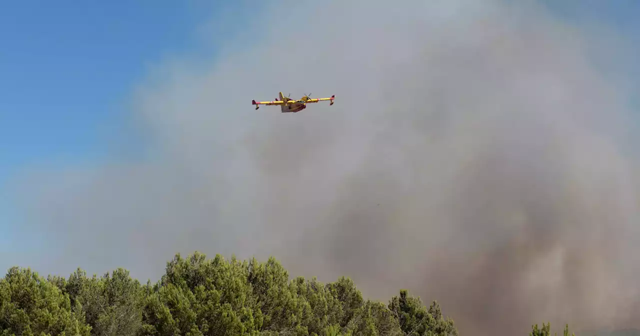 Incendie dans les Pyrénées-Orientales : une centaine d’hectares parcourus, 260 pompiers mobilisés, des maisons évacuées