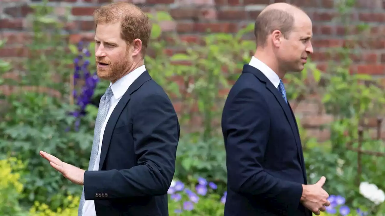 Prince William and Prince Harry Will Be Separated at Coronation to Avoid Any Confrontation, Reports Say