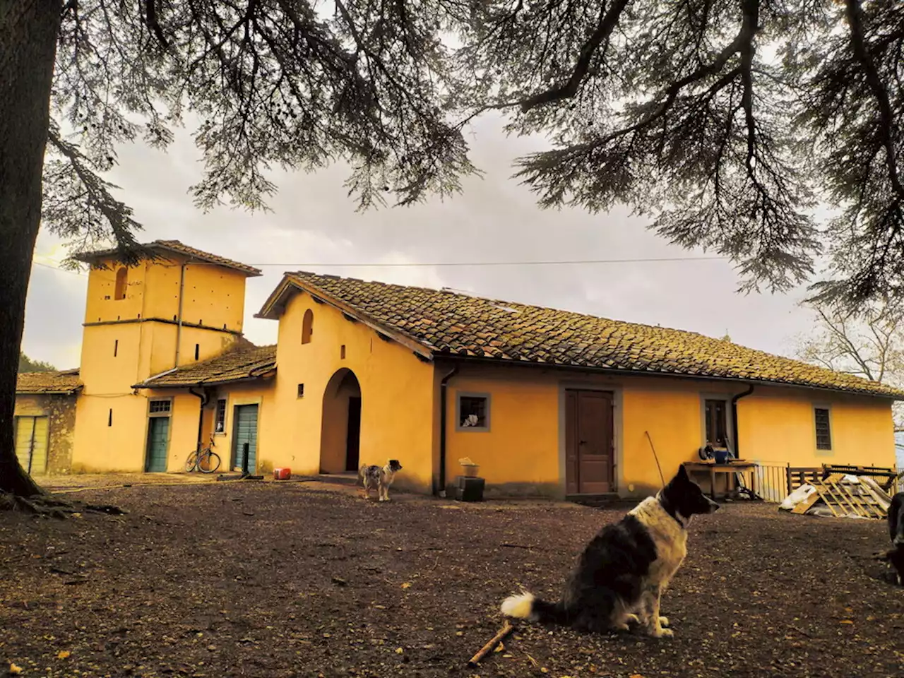 'Monaci per un mese', l'annuncio di un'abbazia del Mugello (Firenze)