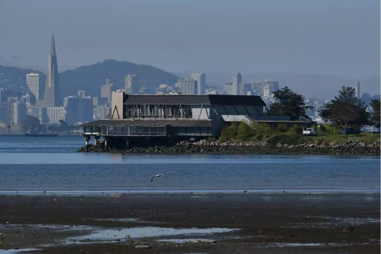 Berkeley prepares to transform its marina — and keep labor relations there ship-shape