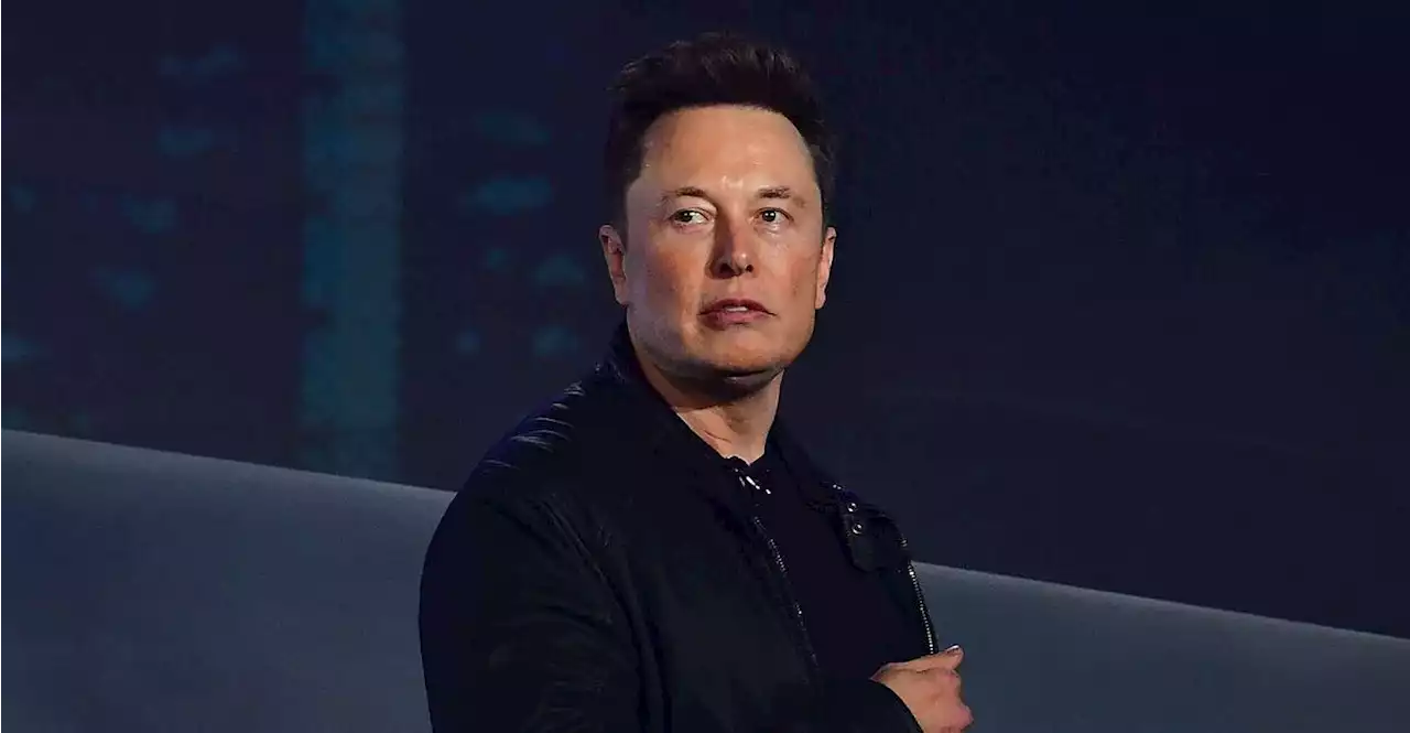 Elon Musk gründet eine neue Firma