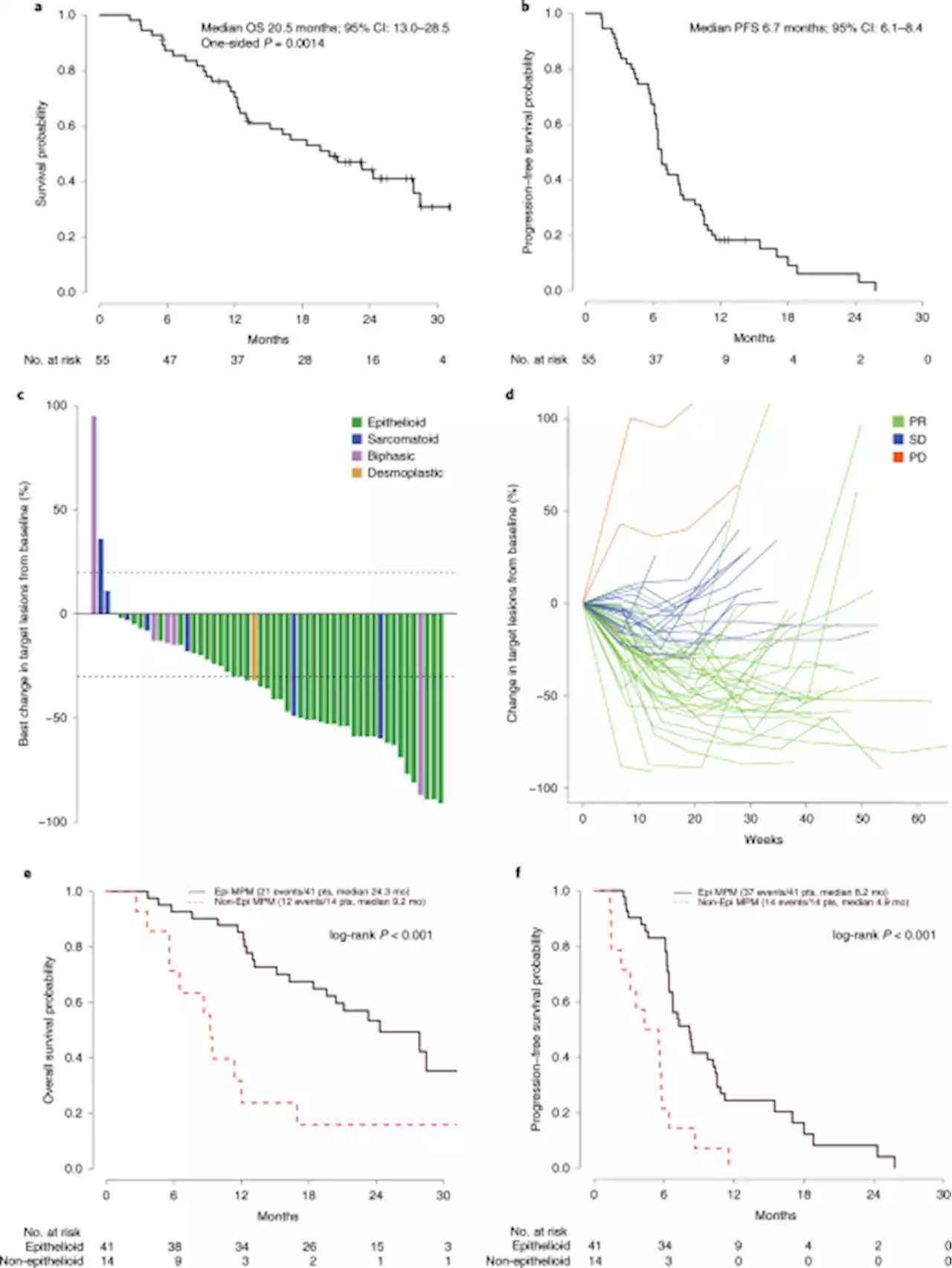 Durvalumab with platinum-pemetrexed for unresectable pleural mesothelioma: survival, genomic and immunologic analyses from the phase 2 PrE0505 trial - Nature Medicine