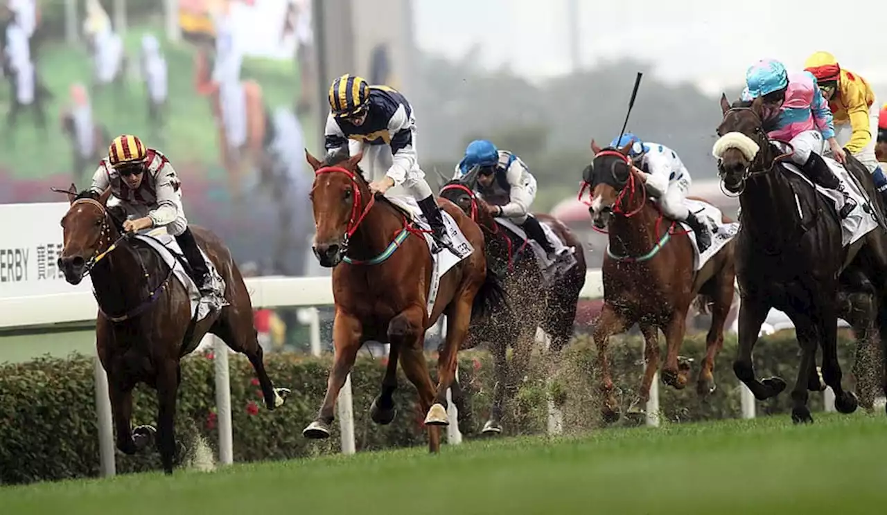 Deaths of three horses justify Grand National protests – Animal Rising