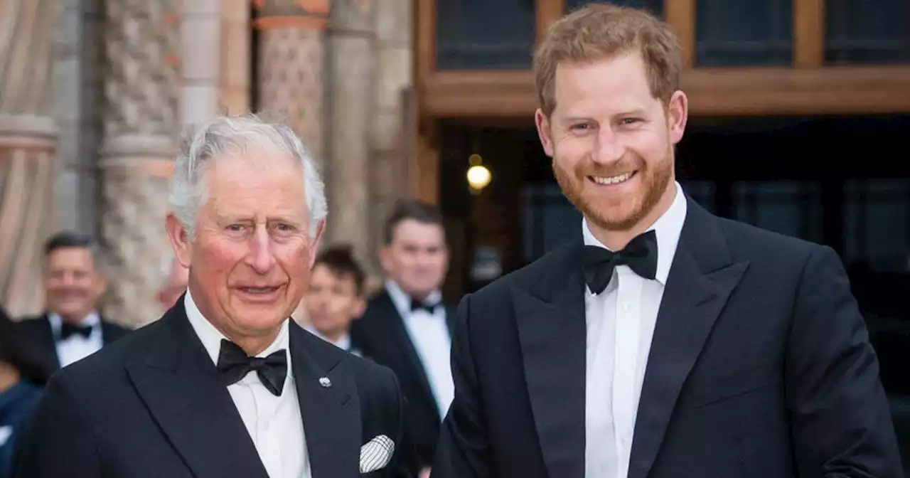 Prince Harry and King Charles 'had heart to heart' before Coronation decision