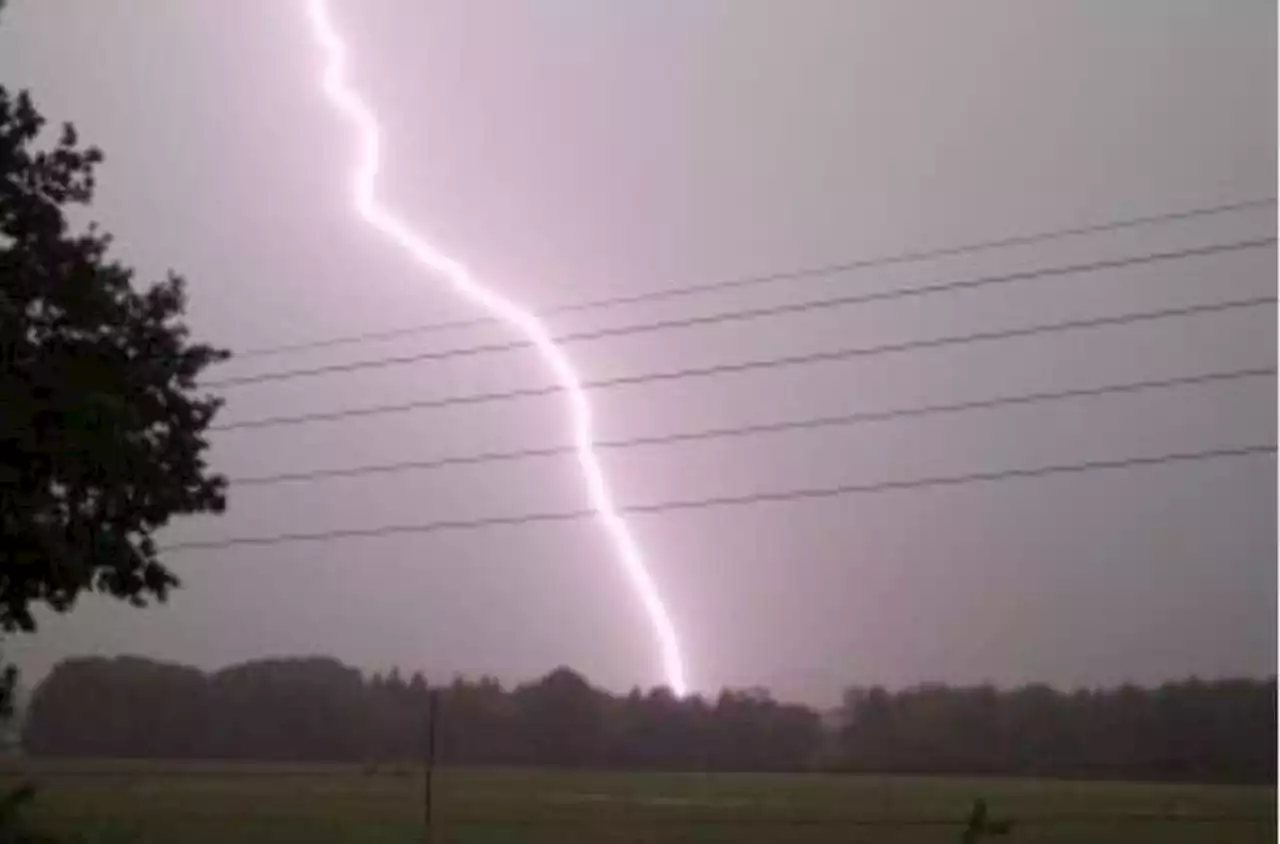 Man dead after lightning causes tree branch to fall on car