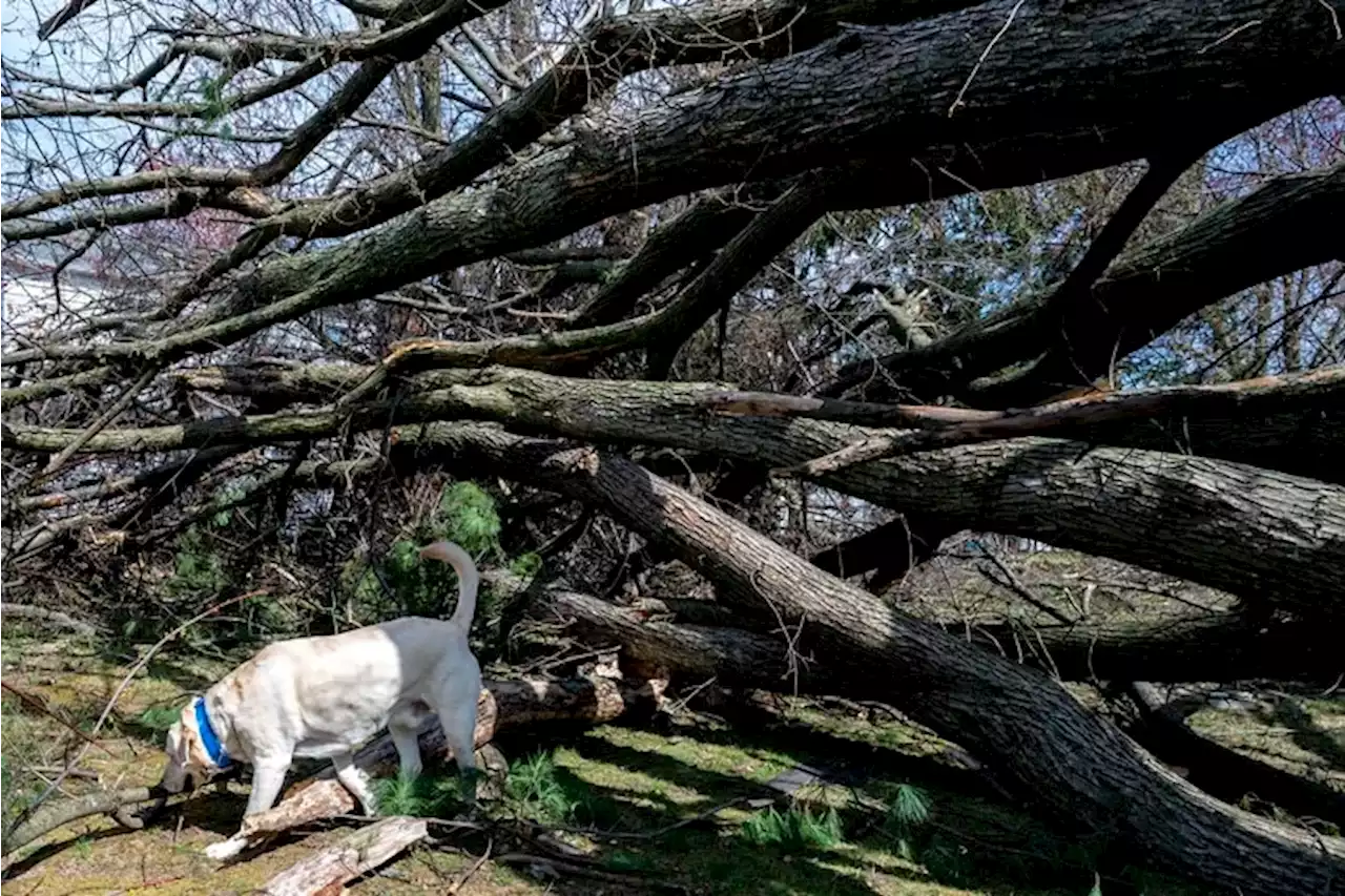 Tornado, flood warnings might be delayed on Twitter, says Philly region’s weather service office