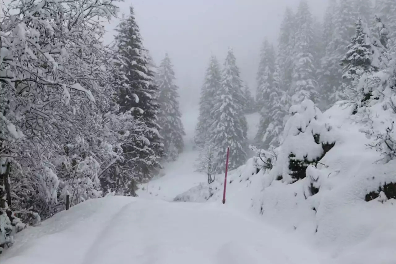 Wetter-Schweiz: Dauerregen im Flachland, markanter Schneefall in den Alpen