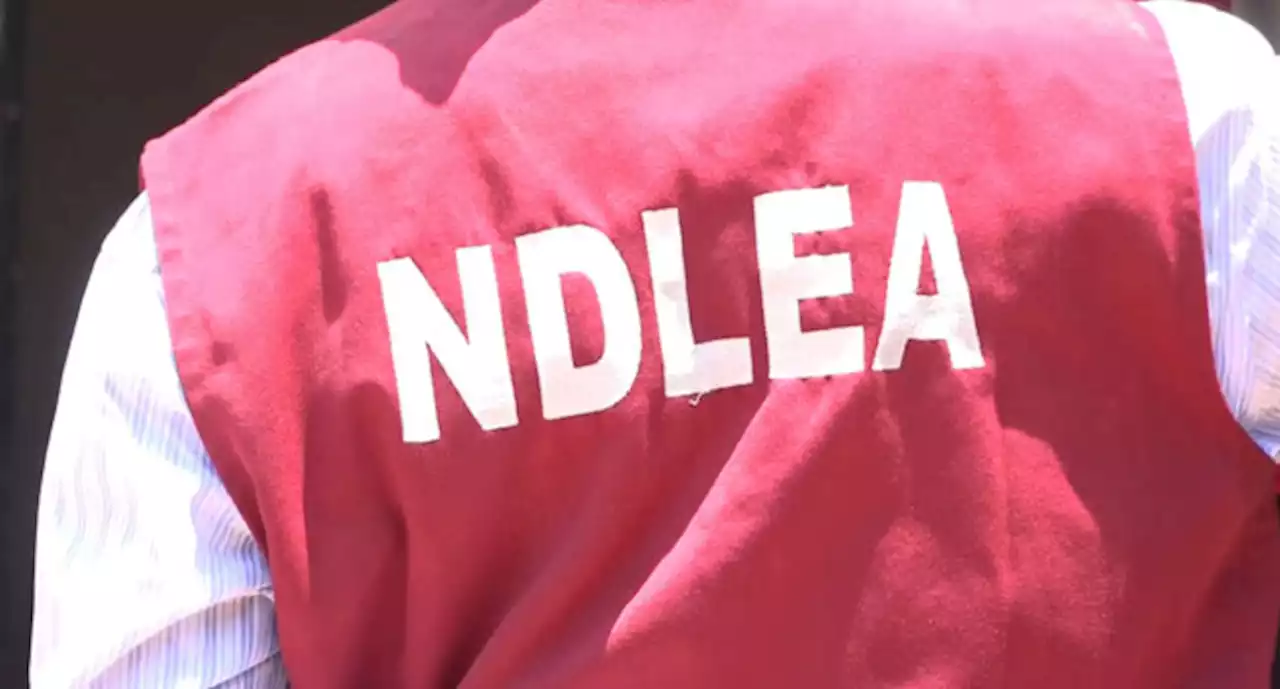 NDLEA intercepts drug consignments in winter jackets, body lotion at Lagos airport