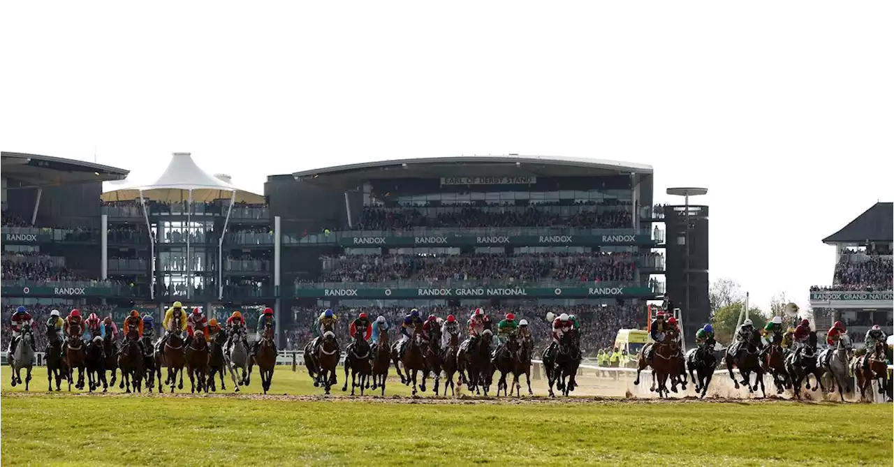 Horse racing-BHA analysing horse deaths at Grand National, condemns protesters