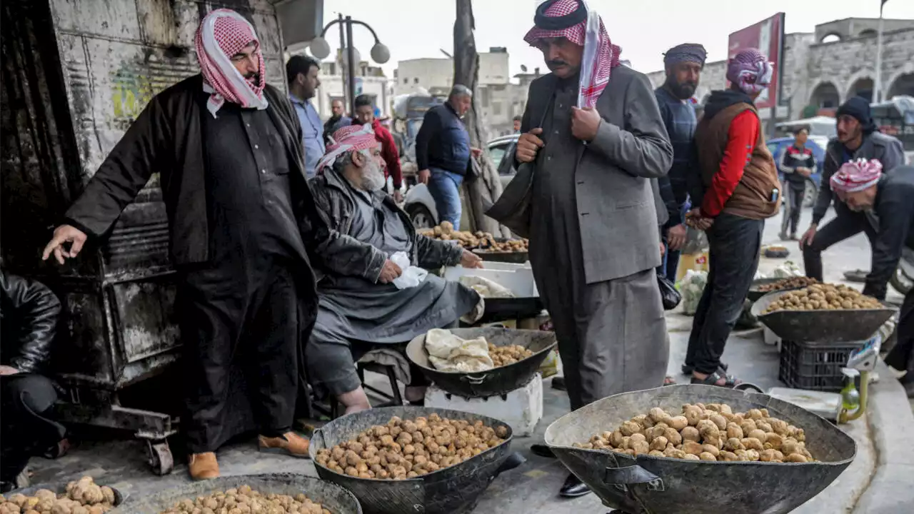 Truffe du désert: une trentaine de Syriens dont des combattants pro-régime assassinés