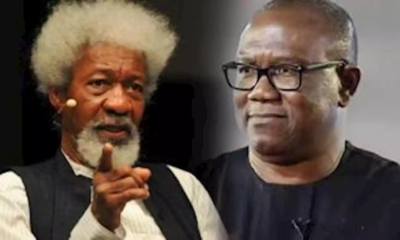 Obidients’ Insults, Bullying Are Examples Of Tyranny, Intolerance Soyinka Fights Against – Pan-Yoruba Group | Sahara Reporters