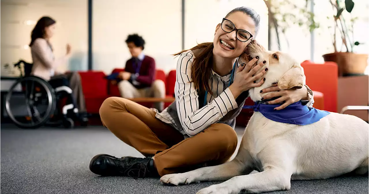 Terapias asistidas con perros para mejorar la calidad de vida de las personas